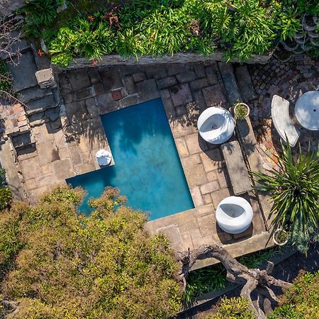 Phoenix Lodge And Waterside Accommodation Knysna Exterior foto